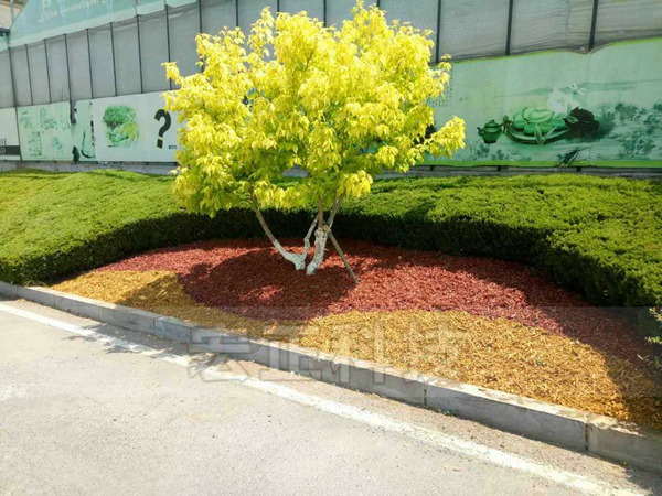 項(xiàng)目圖